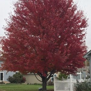 Meet your Posher, Cara